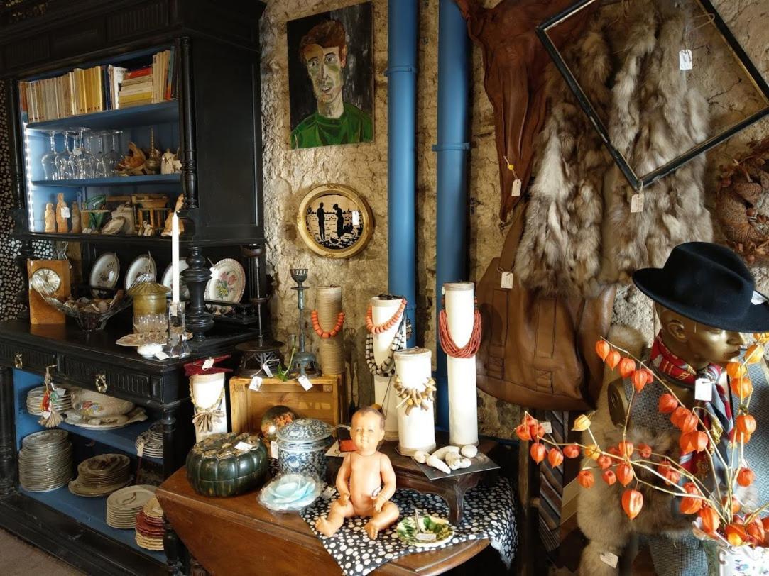 Maison D'Hotes "Les Volets Verts" Et Sa Brocante Ecueille エクステリア 写真