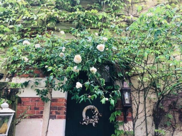 Maison D'Hotes "Les Volets Verts" Et Sa Brocante Ecueille エクステリア 写真