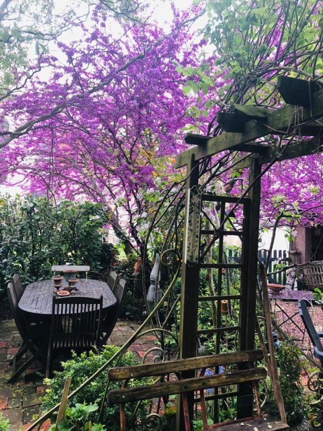 Maison D'Hotes "Les Volets Verts" Et Sa Brocante Ecueille エクステリア 写真
