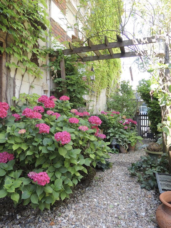 Maison D'Hotes "Les Volets Verts" Et Sa Brocante Ecueille エクステリア 写真